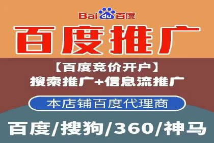 百度竞价SEM深度解析：某行业成功推广经验